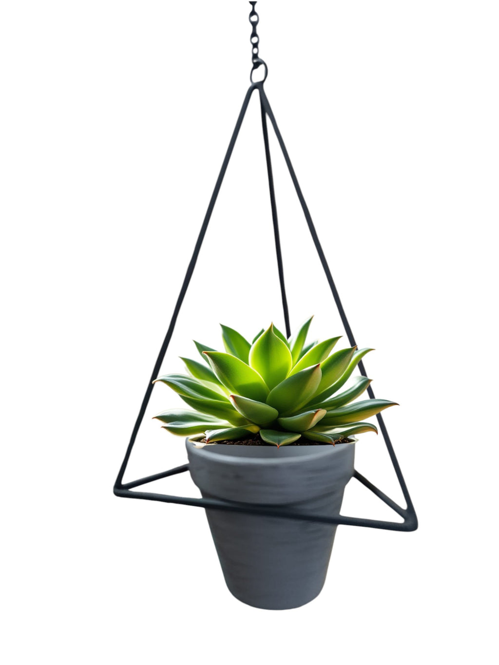 Fioriera Sospesa Per Piante Da Vaso